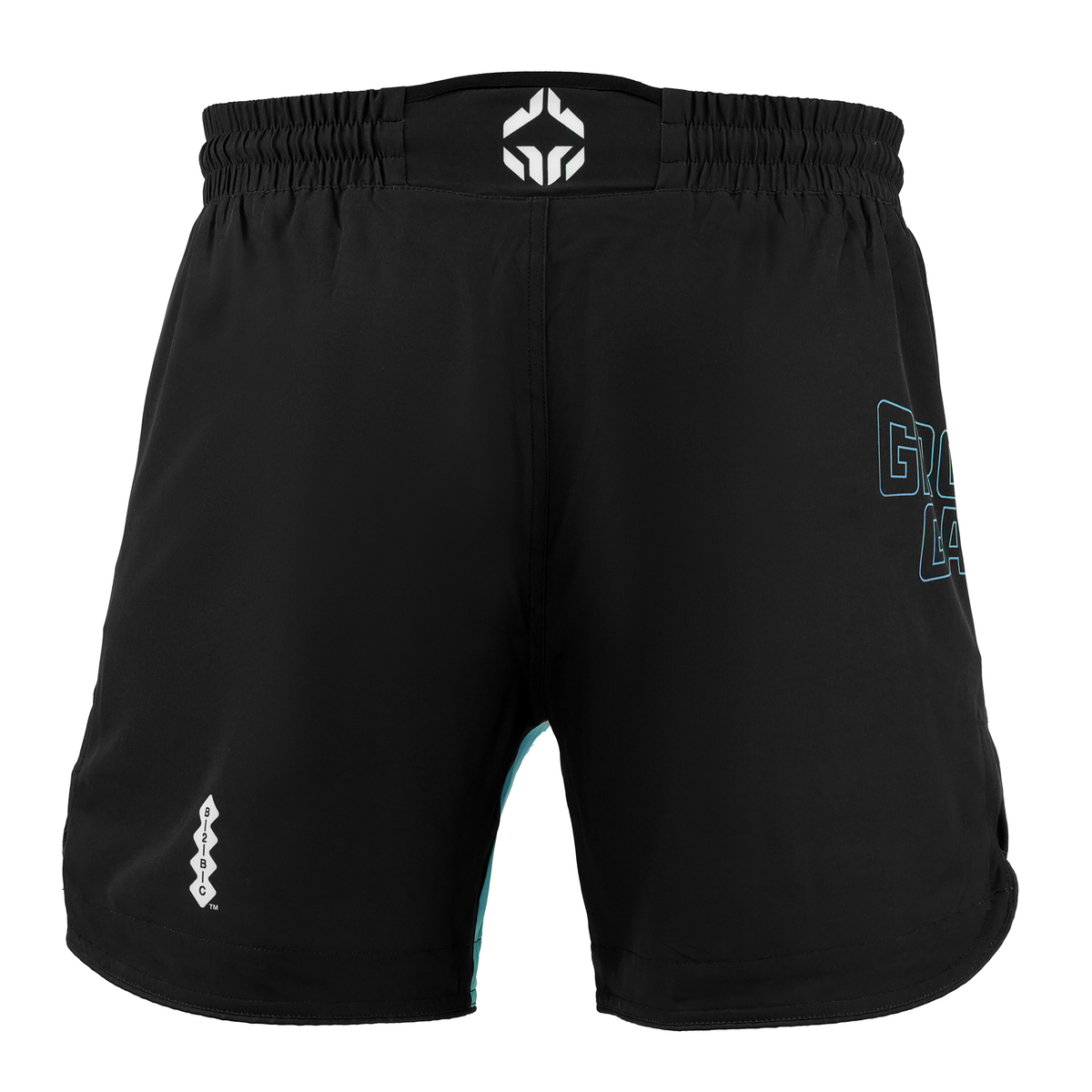 Light MMA Shorts Born 2 Bore