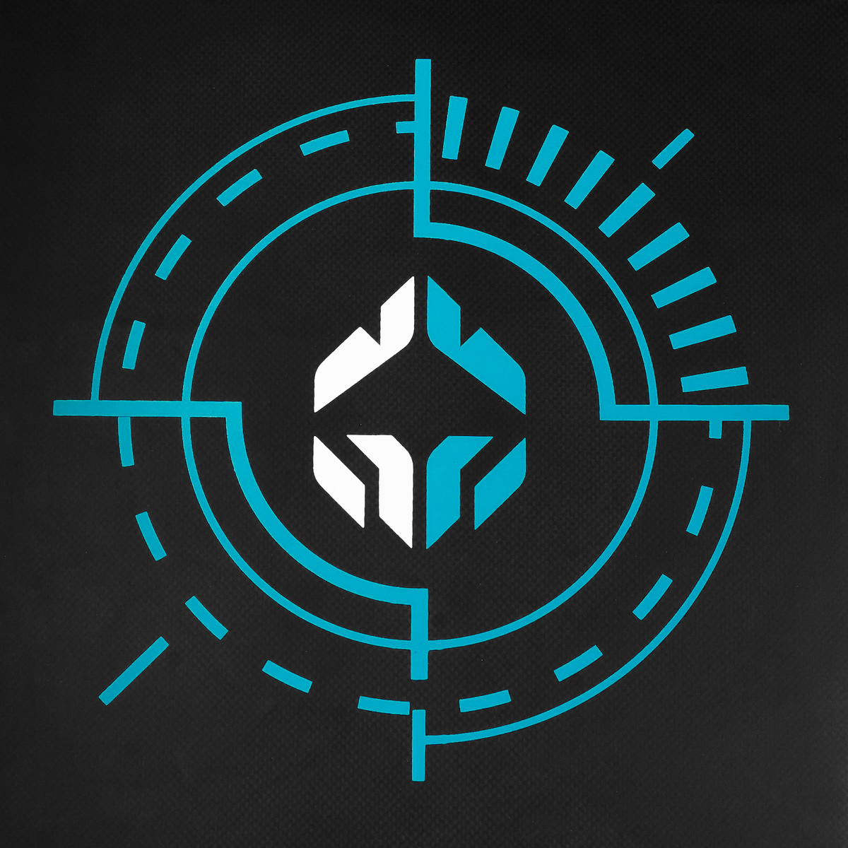 Straight Kick Shield Target