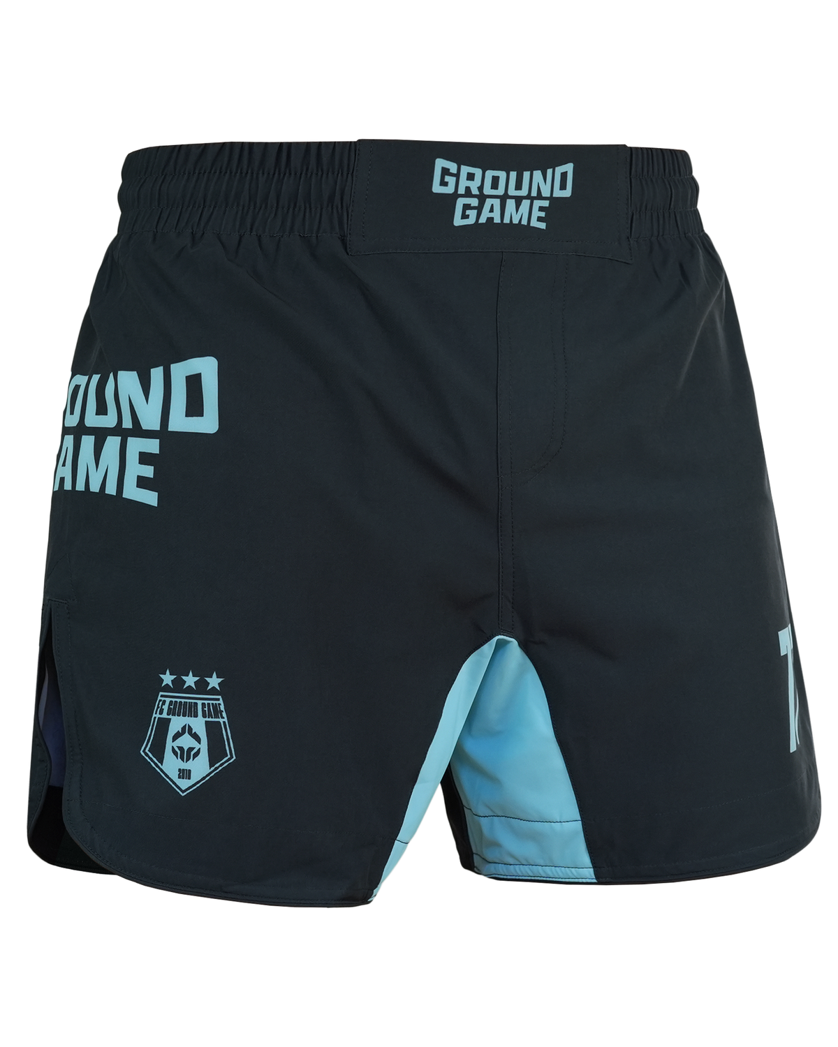 Light MMA Shorts FC Armbar (Mint)
