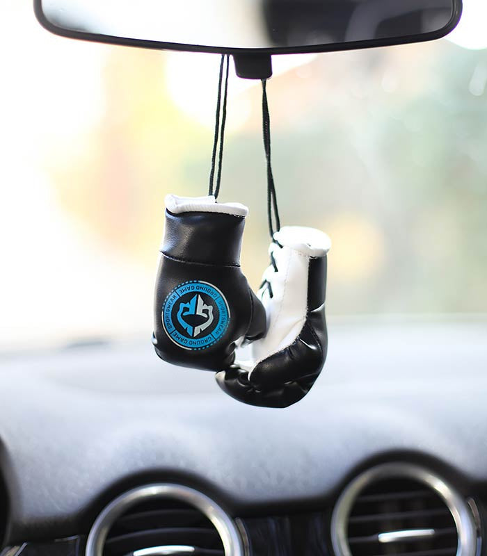 Mini Boxing Gloves