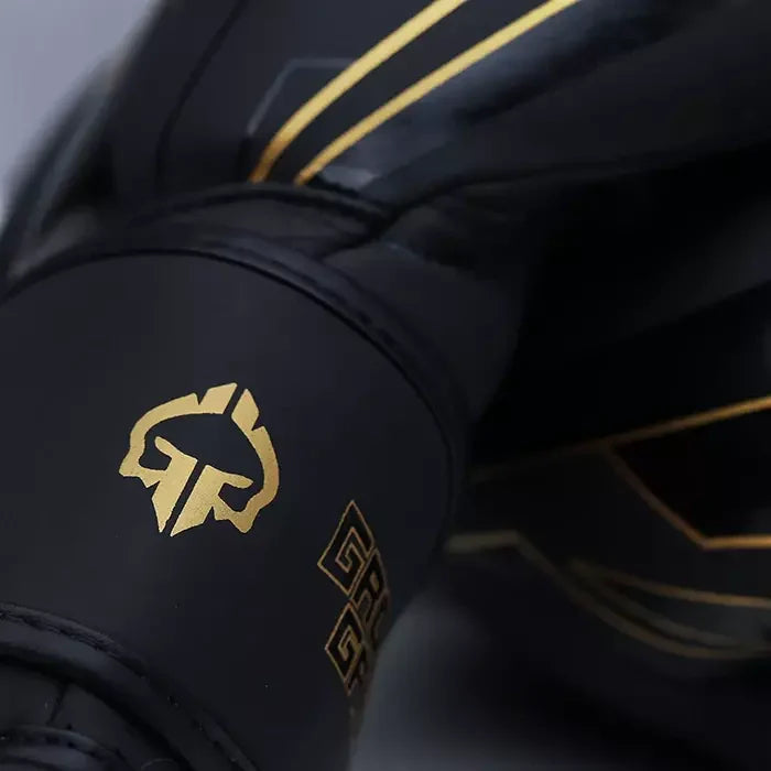 Boxing Gloves Equinox