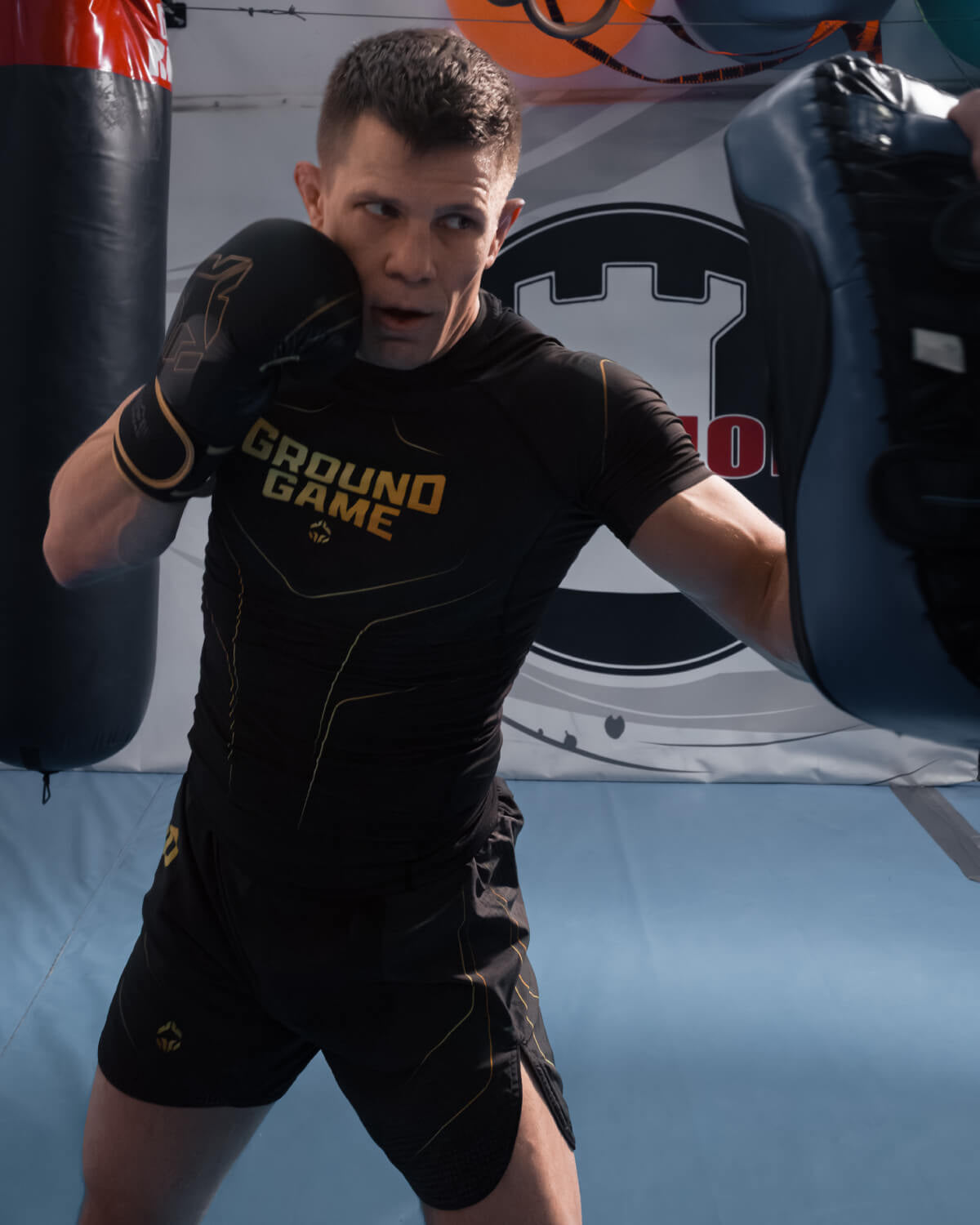Boxing Gloves Logo 3.0 Gold