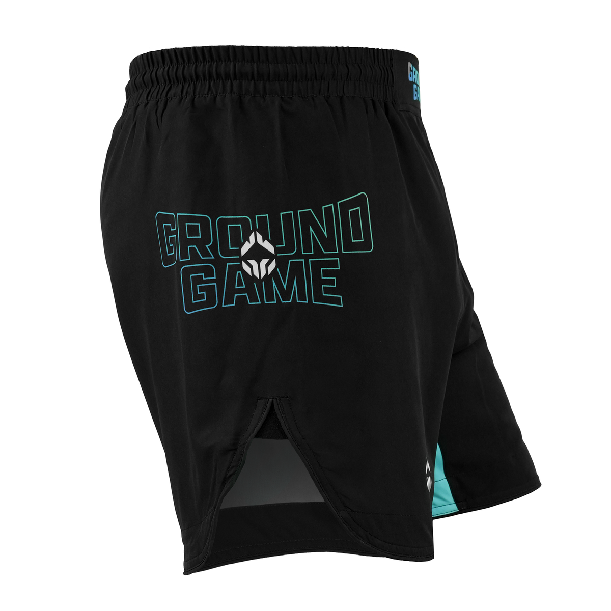 Light MMA Shorts Born 2 Bore