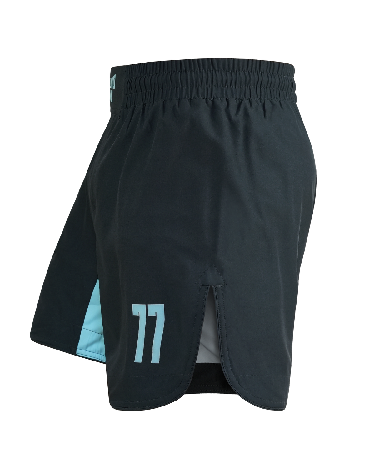 Light MMA Shorts FC Armbar (Mint)