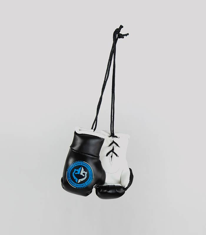 Mini Boxing Gloves