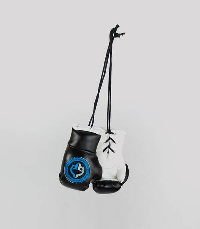 Mini Boxing Gloves