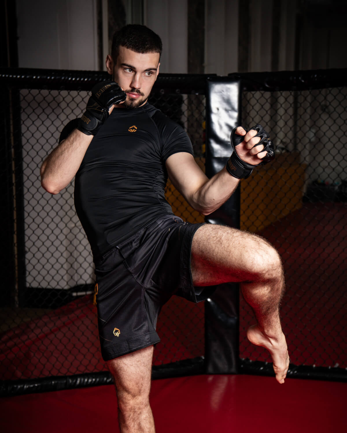 MMA Gloves Equinox