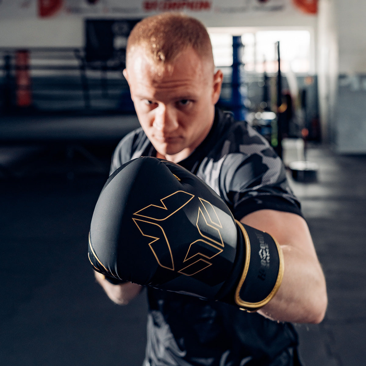 Boxing Gloves Logo 3.0 Gold