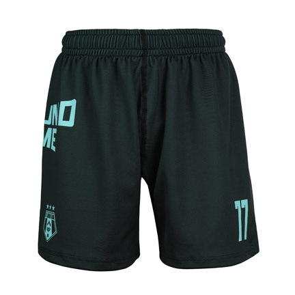 Kids Training Shorts FC Armbar (Mint)