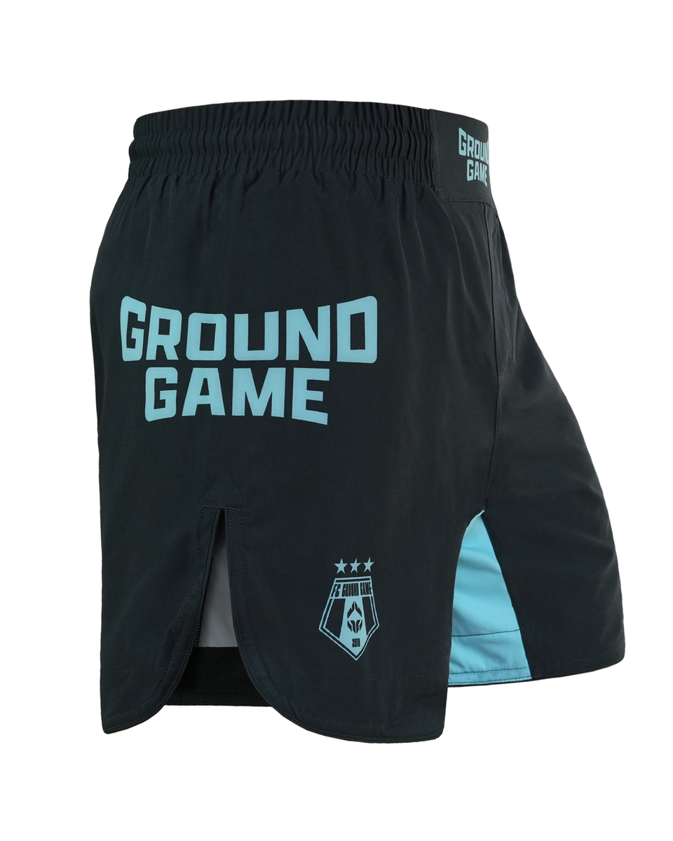 Light MMA Shorts FC Armbar